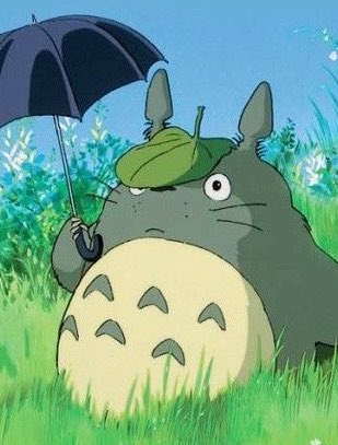 O7O1hs's tweet photo. HAN YUJIN AS TOTORO ㅠㅠ https://t.co/bJGuPgHW98