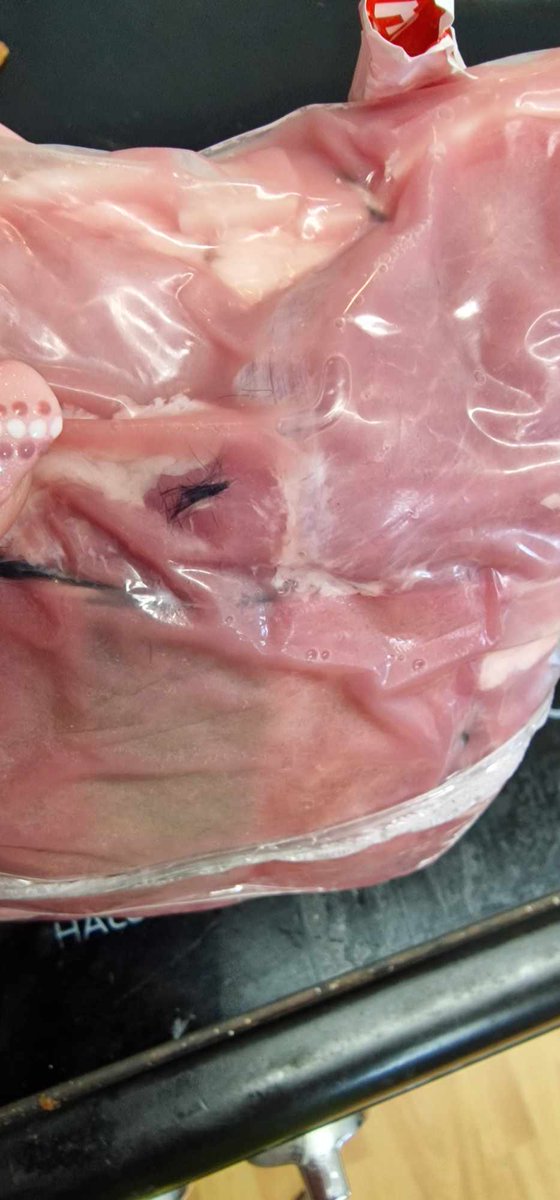 JayViews tweet media