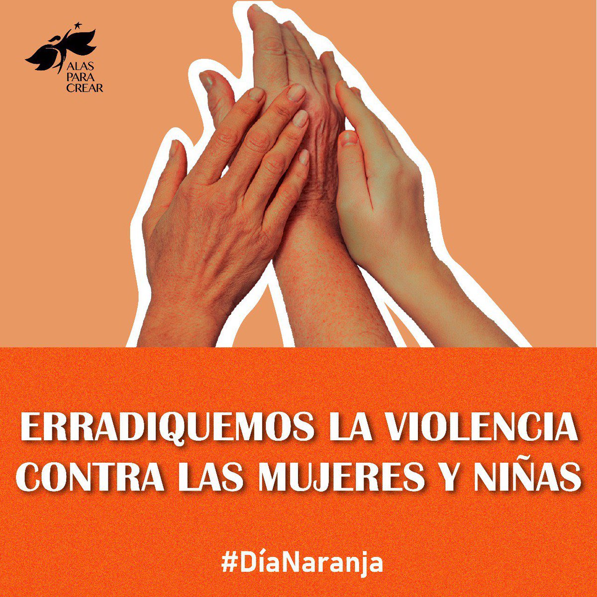 AlasParaCrearAC's tweet photo. En este #DíaNaranja 🧡 recordemos que las mujeres tenemos todo el potencial para transformar nuestro entorno.

¡Luchemos porque más de nosotras estemos en los cargos decisivos, en todos los sectores! 

#PorUnMéxicoSinEtiquetas 🦋 https://t.co/GsCO7d5w6b