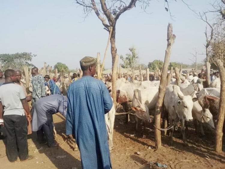💥Breaking News

Fulani herdsman shot dead in Anambra state....

A herdsman who has now been identified as Zakari Sale, has been shot dead in the Ukwulu community of Dunokofia Local Government Area of Anambra State.

This was disclosed by Alhaji Gidado Siddiki, leader of Miyetti
