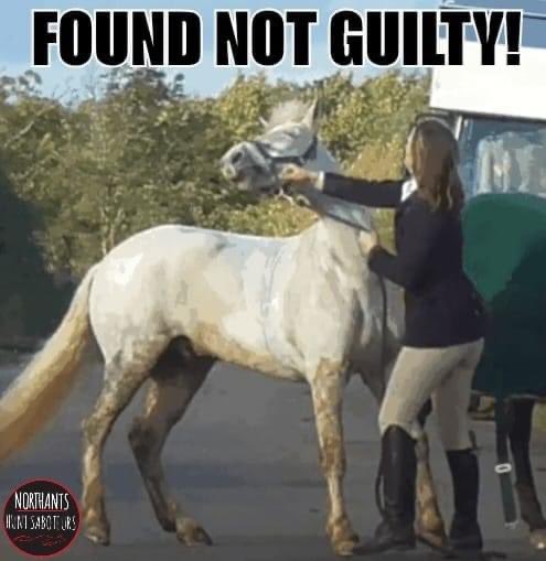 @RSPCA_official is this acceptable????? #sarahmoulds #thiscountryisajoke #horses #foxhunting
