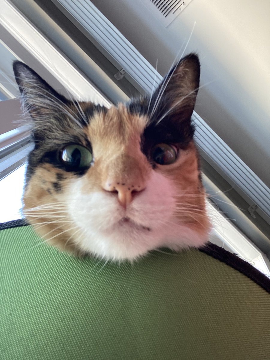 Hey do you have any games on your phone?