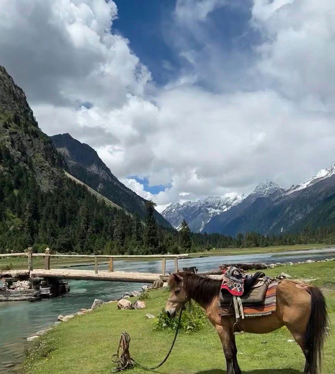 Suddenly let go of all obsessions, I still have a long way to go. Who will come with me?