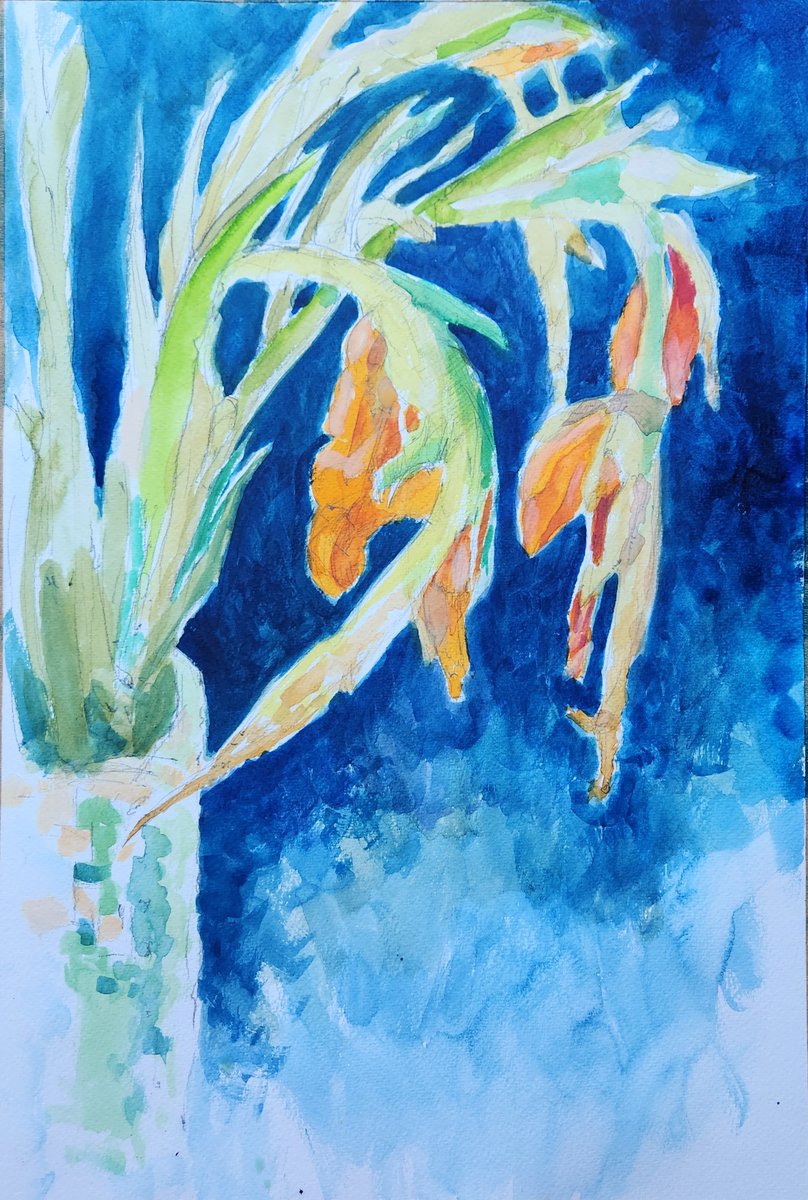 Charlie Collins tweet media