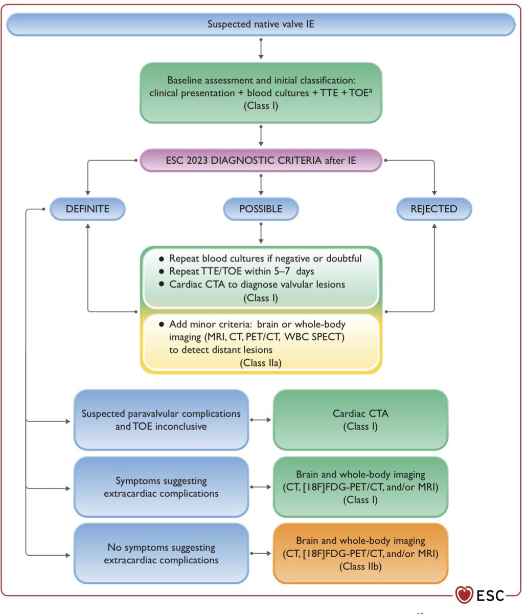 GiuseppeGalati_'s tweet photo. 👆👇 ❤️🔥 New #InfectiveEndocarditis team
Stronger role of
#Antiobiotic Prophylaxis
#MultimodalityImaging
#EarlySurgery
@JGrapsa @MicheleEmdin @MicheleSenni @GeraldMaurer @m_piepoli @DLBHATTMD @alessia_gimelli @MayoClinicCVS @TJHeartFellows @KTamirisaMD @HeartOTXHeartMD @zhh_ch https://t.co/B8jZNSwiS3