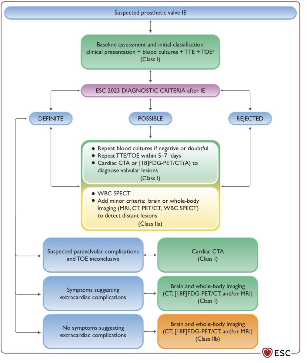 GiuseppeGalati_'s tweet photo. 👆👇 ❤️🔥 New #InfectiveEndocarditis team
Stronger role of
#Antiobiotic Prophylaxis
#MultimodalityImaging
#EarlySurgery
@JGrapsa @MicheleEmdin @MicheleSenni @GeraldMaurer @m_piepoli @DLBHATTMD @alessia_gimelli @MayoClinicCVS @TJHeartFellows @KTamirisaMD @HeartOTXHeartMD @zhh_ch https://t.co/B8jZNSwiS3