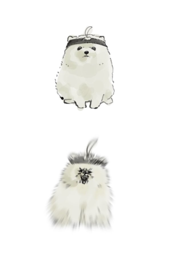 brakuro_oji's tweet photo. ポメスタ https://t.co/FwkPoF4kCH