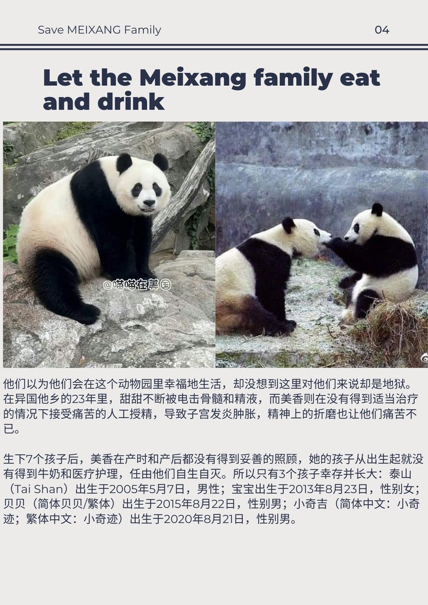Anh2De60211's tweet photo. Help the Meixang family by downloading pictures and emailing them to the addresses below. Please everyone!
info@worldanimalprotection.us
news@wwfchina.org
membership@wwfus.org
info@worldanimalprotection.org.cn
#sos
#savemeixiangfamily
#savetiantianpanda
#savexiaoqijipanda https://t.co/uOGRzIQ6cX