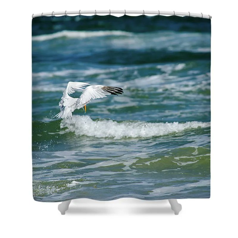 DebraMartz's tweet photo. "After the Dive" 
Shower Curtain by Debra Martz 

Available-Here:https://t.co/Kdk47fPgES 

#bird #tern #wings #gulf #sea #ocean #WingsSpread #ShopEarly #PhotographyIsArt #BuyIntoArt #GiftThemArt #giftideas #artistsontwitter #rtArtBoost #DebraMartz https://t.co/BECsCSzK4x