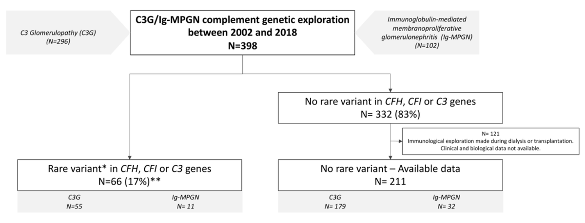 C3 glomerulopathy &amp; idiopathic immunoglobulin-mediated membranoproliferative glomerulonephritis are rare complement mediated kidney diseases. This study found 17% of C3 glomerulopathy/Ig-MPGN cases were linked to rare variants in the CFH, CFI, or C3 genes bit.ly/CJASN0252