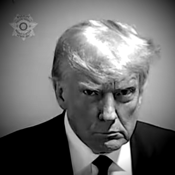 Timothy Stack tweet media