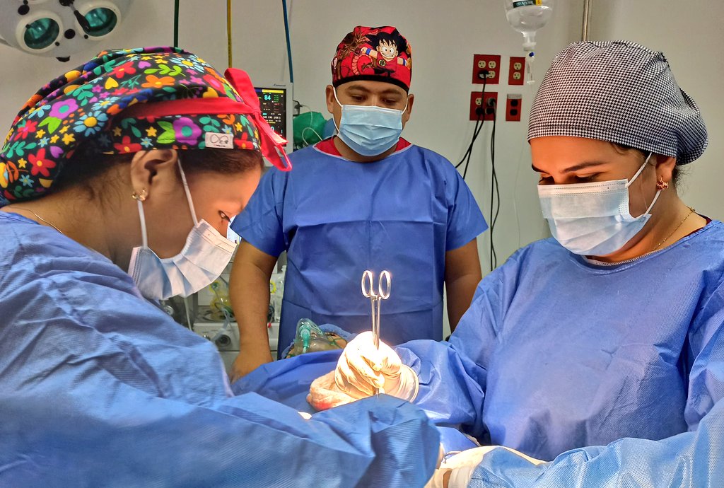 Dirección de Salud Dtto. Capital tweet media