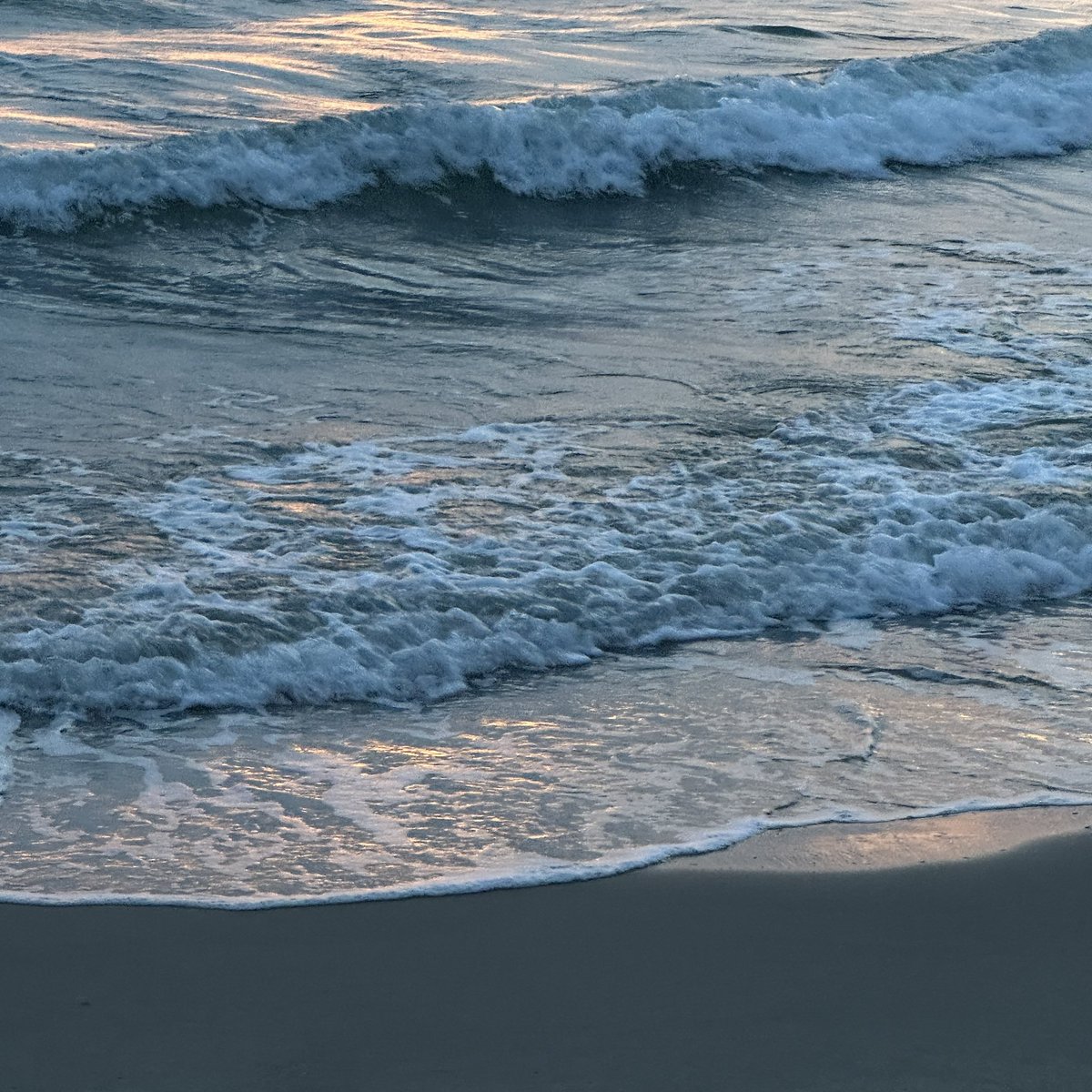 yoxrgravity's tweet photo. . sounds of the sea 🌊 https://t.co/FKdlmQpNW1