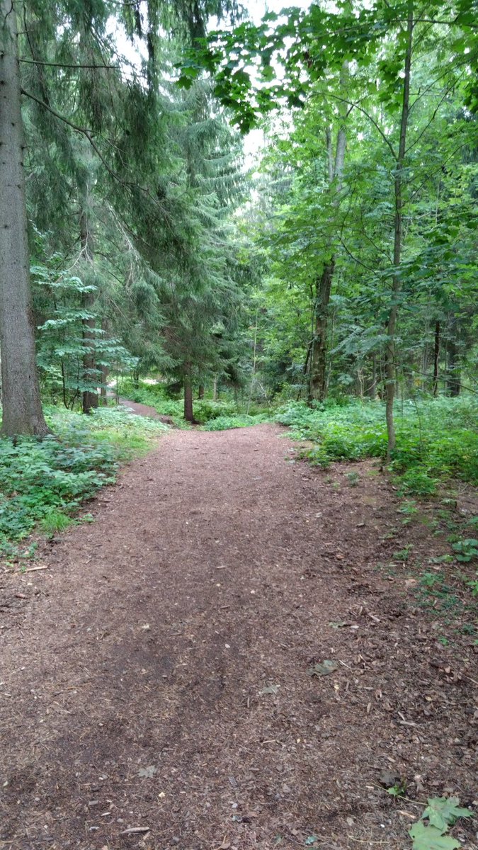 Taas on lenkki heitetty - suosittelen myös muille (ja välillä ilman kuulokkeita)