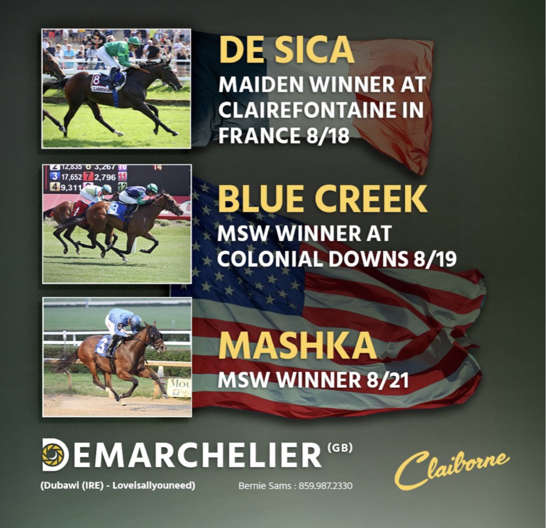 TDN (@thetdn) on Twitter photo 🥇 De Sica
🥇 Blue Creek
🥇 Mashka
Sired by DEMARCHELIER, standing at <a href="/claibornefarm/">Claiborne Farm</a>. 🥇 De Sica
🥇 Blue Creek
🥇 Mashka
Sired by DEMARCHELIER, standing at <a href="/claibornefarm/">Claiborne Farm</a>.
