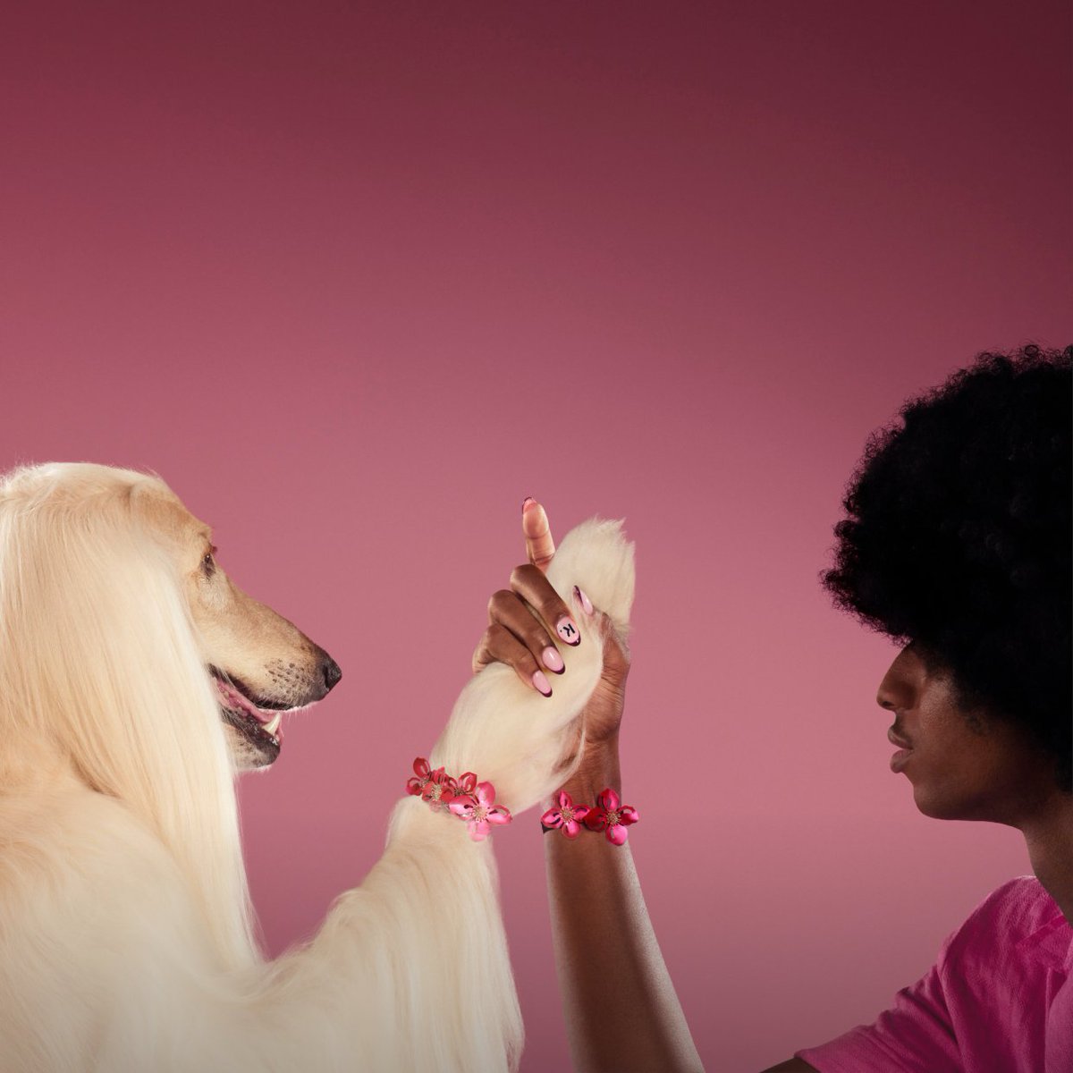 Happy #InternationalDogDay guys! We want to see your pawsome pets, reply with your cutest pics 🐶 👇