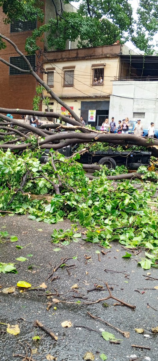 Jolugoro99's tweet photo. A esta hora en la Av. José Ángel alas 5:00pm  caída de árboles a una vivienda y camión @ReporteYa #caracas #lluvias https://t.co/XiOWeG2kyE