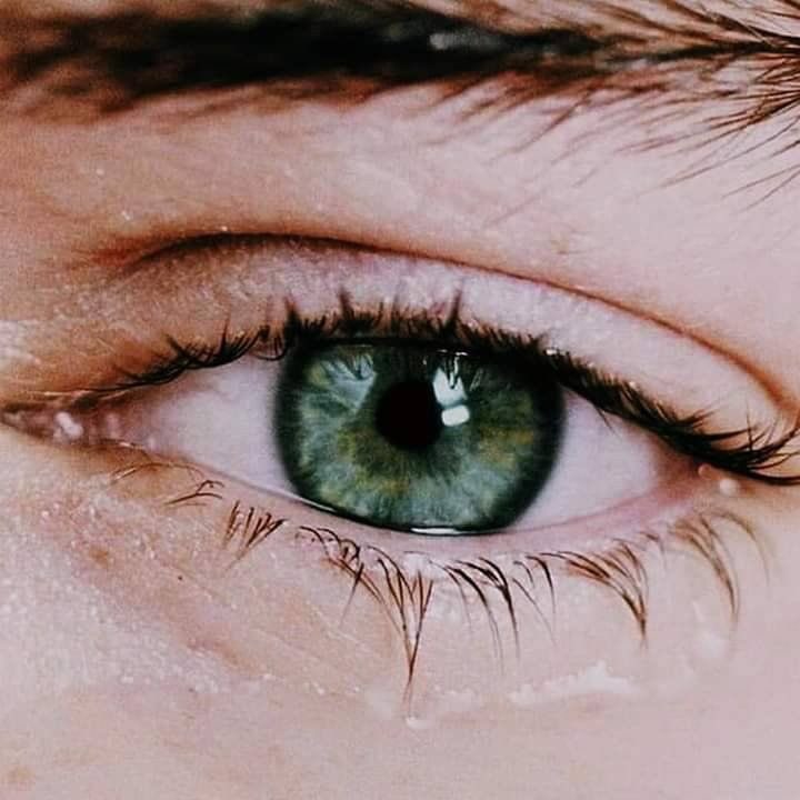 han 🪩 tweet media