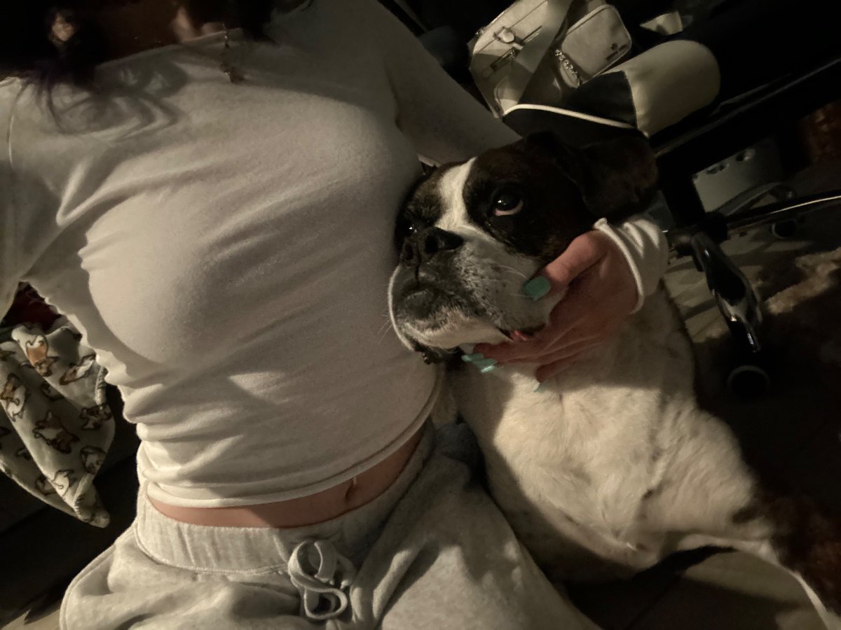 katnicole00's tweet photo. I can’t believe I have to say goodbye to my best friend. Heartbreak doesn’t even begin to describe what I’m feeling. I’ve never had a bond with an animal like I did with my boy. My heart is in a million pieces. I love you so much. https://t.co/IFKIOwD5vU