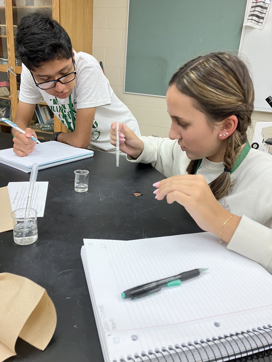 RossoClrosso's tweet photo. Water properties exploration! Biology at its best! #wearedeland https://t.co/wdBv2Txppz