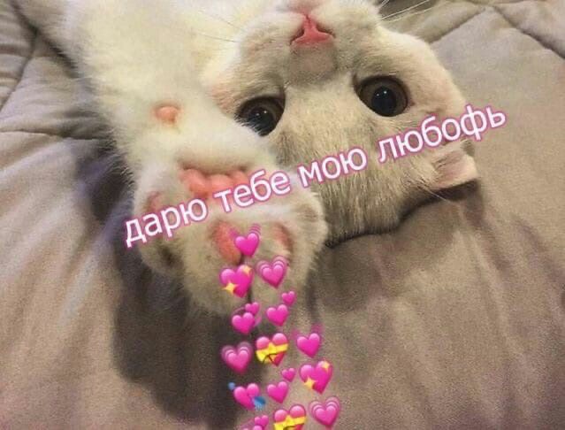 aiden_en_'s tweet photo. @lluhaight бляяяять лу, с днём рождения 💜🥂💘🎉🍰 у меня даже уведа в календаре стояла, а я всё равно провтыкала 😭 ну хорошо, что хоть день ещё не закончился 🥲 https://t.co/xyGUc6IKwi