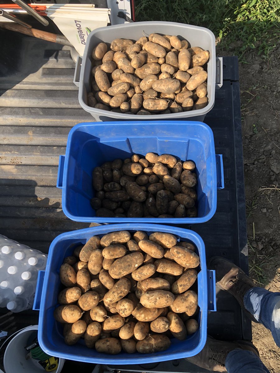 Adam Voss tweet media