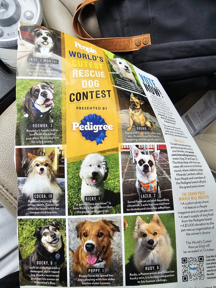 comdr_in_cheese's tweet photo. Furiends, I am in @people magazine! I am currently in the top 10 of the World's Cutest Rescue Dogs. Can you please take a second to vote for me to win? I lub you all! 🐾🦆 https://t.co/dtagI332O1