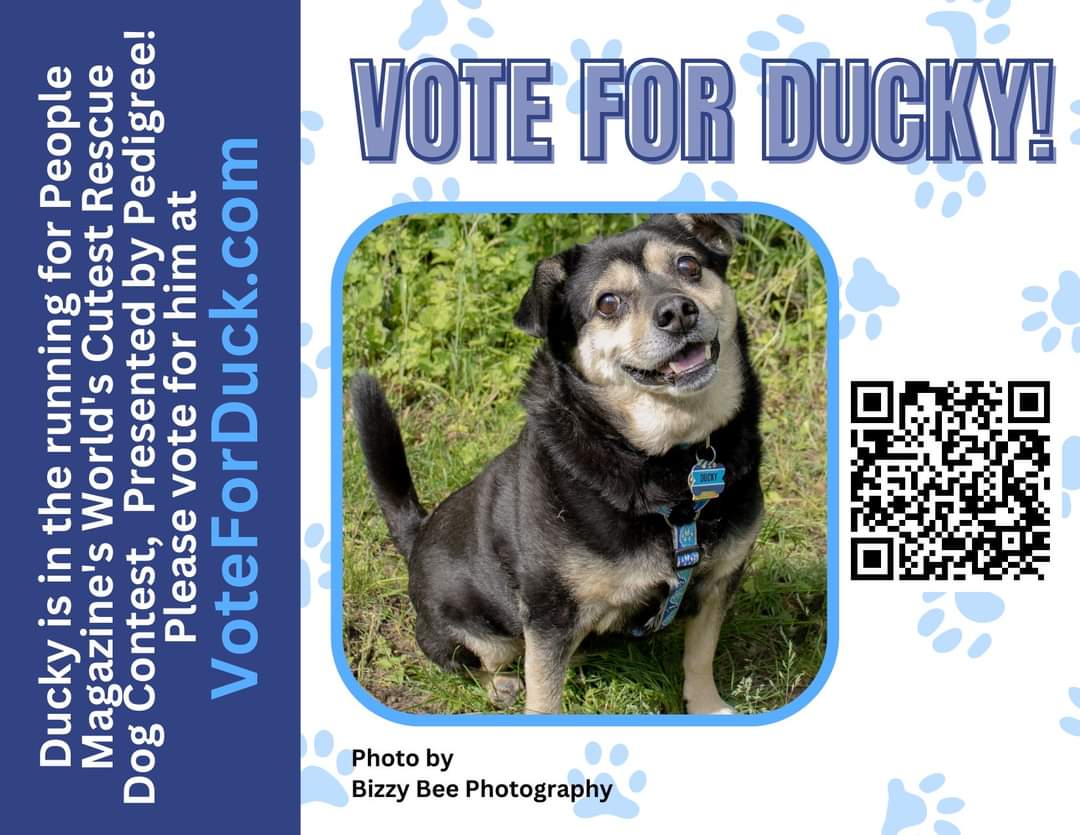 comdr_in_cheese's tweet photo. Furiends, I am in @people magazine! I am currently in the top 10 of the World's Cutest Rescue Dogs. Can you please take a second to vote for me to win? I lub you all! 🐾🦆 https://t.co/dtagI332O1