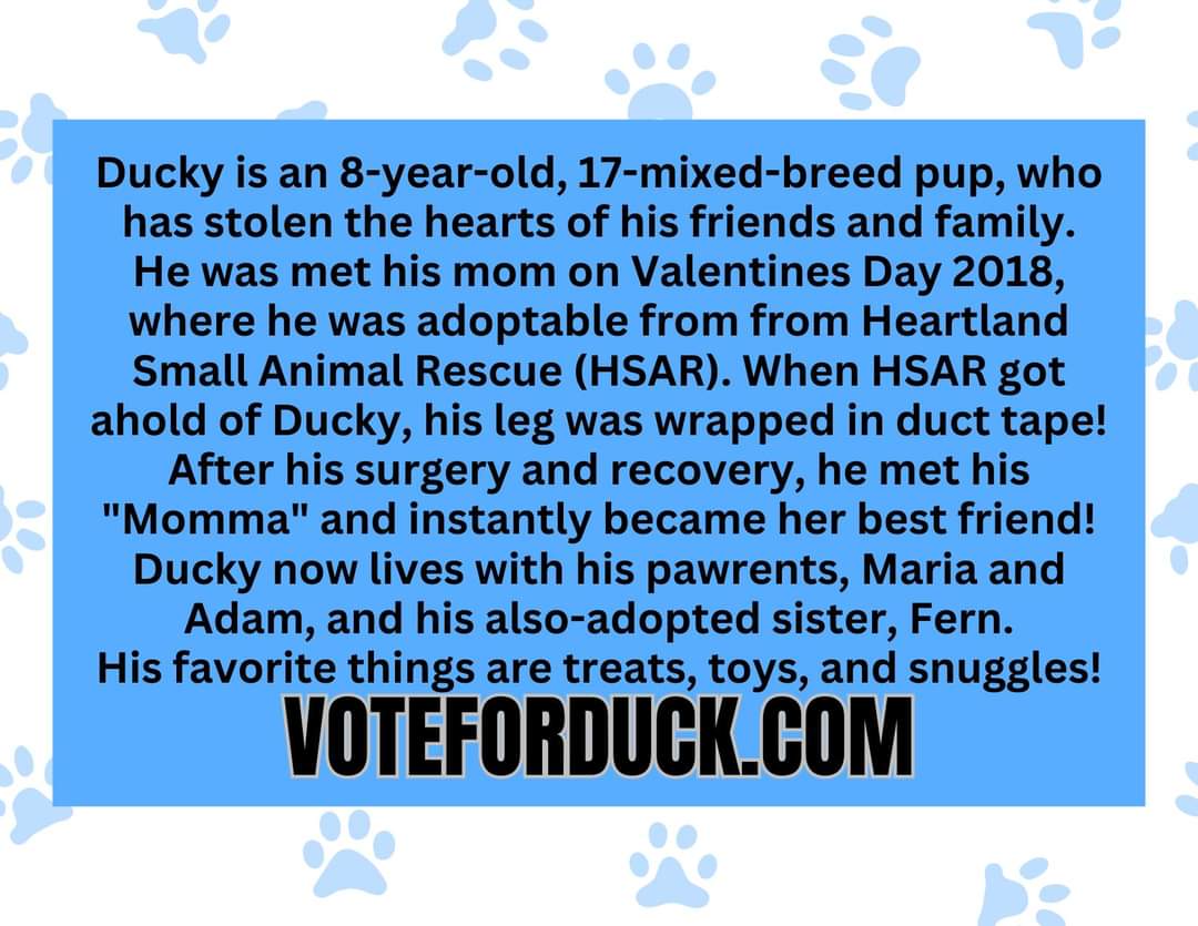 comdr_in_cheese's tweet photo. Furiends, I am in @people magazine! I am currently in the top 10 of the World's Cutest Rescue Dogs. Can you please take a second to vote for me to win? I lub you all! 🐾🦆 https://t.co/dtagI332O1