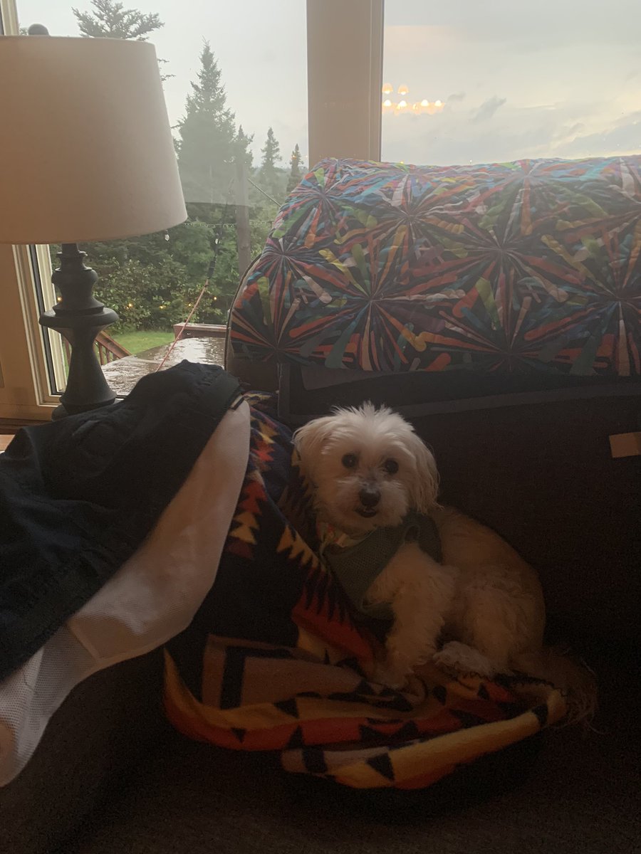 Kay Campbell tweet media