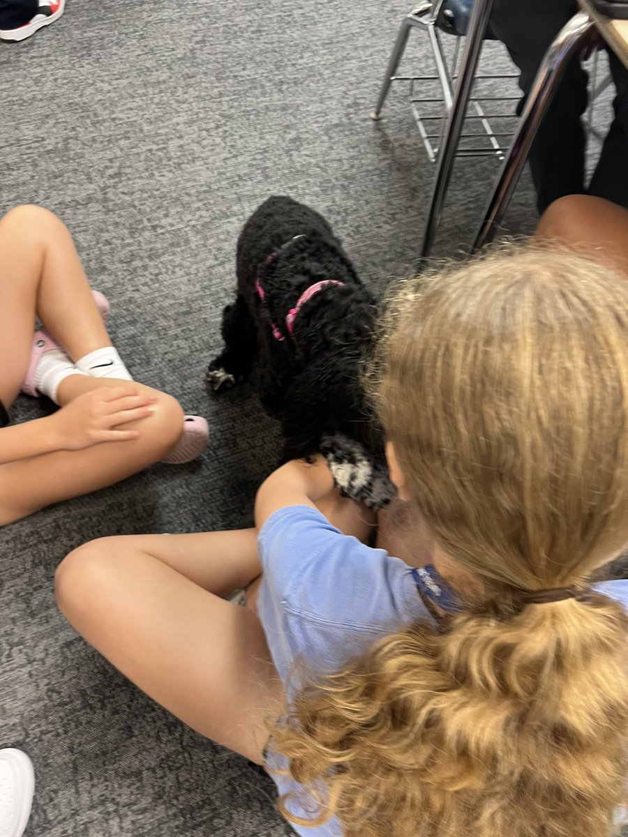 Jalayne Bacon tweet media