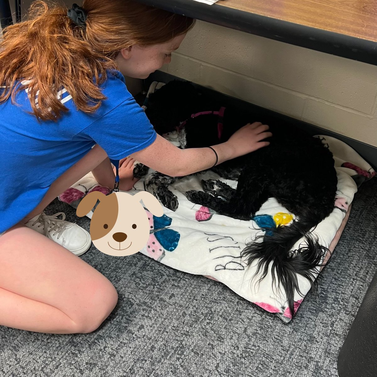 Jalayne Bacon tweet media