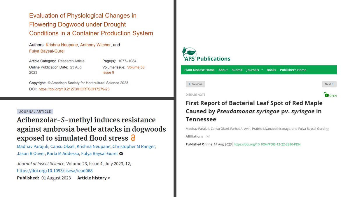 baysalgurellab's tweet photo. Check out our recent publications got out this summer. @PlantDiseaseJ @ASHS_Hort #JournalofInsectScience https://t.co/baZZ4SeKDy