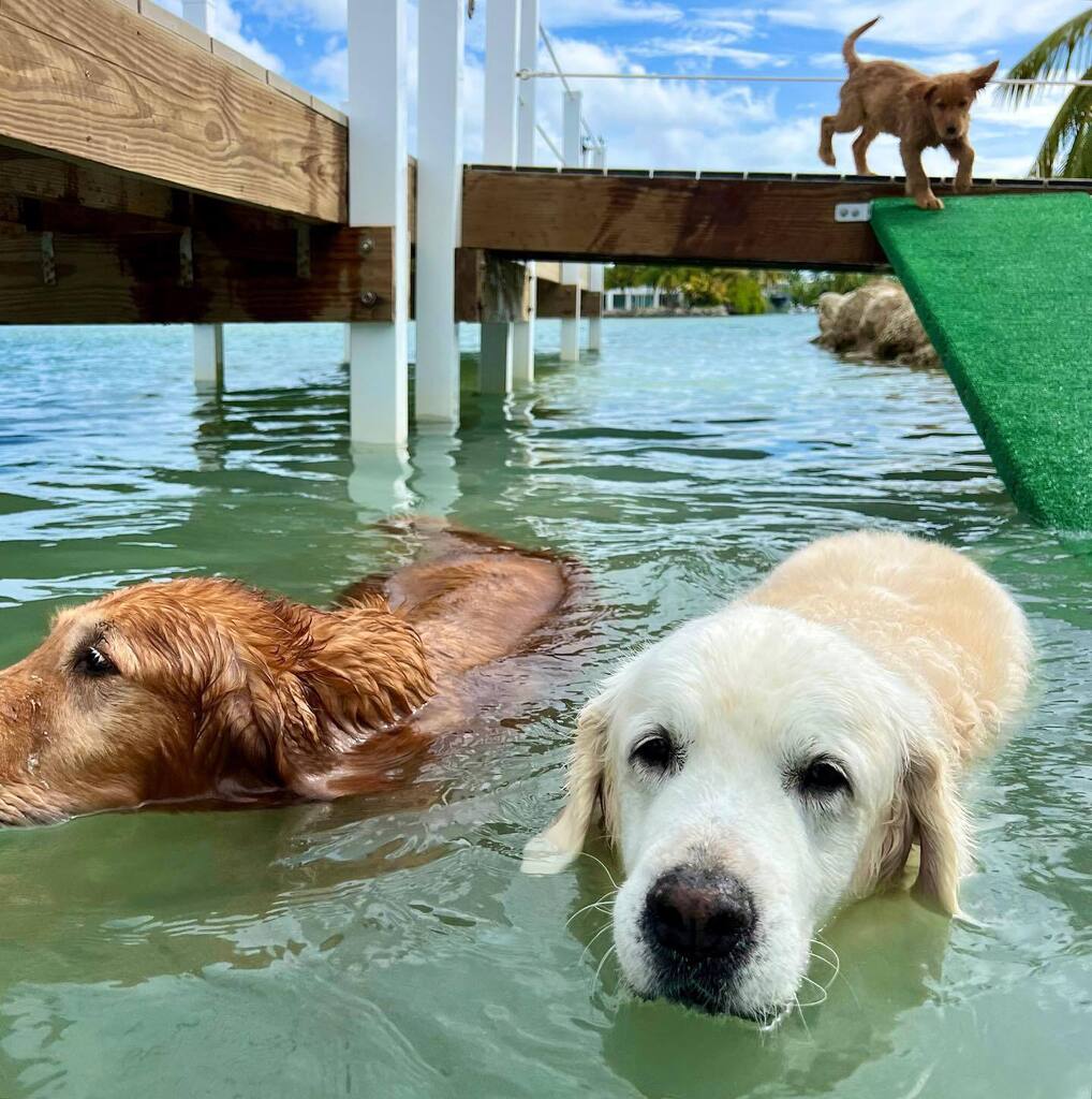 TheGoldenRatio4's tweet photo. Oh lawd she comin' https://t.co/gWVKABu1uv