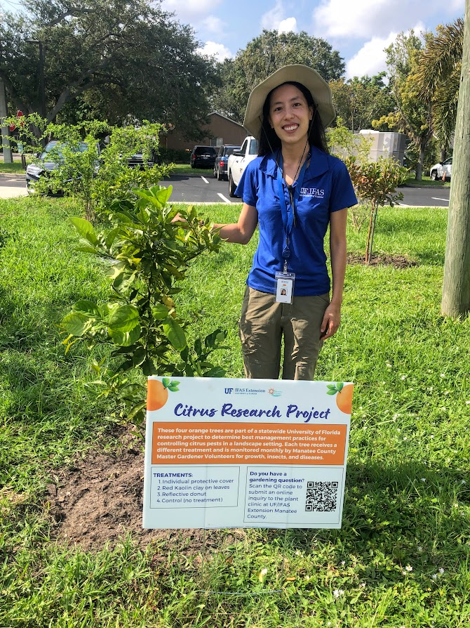 arachnonaut's tweet photo. I enjoyed meeting some of the @UF_IFAS extension agents &amp; master gardeners collecting data for our residential citrus project! 

One of them emailed asking who these eggs belong to. #EntoTwitter, I know they're prob not grasshopper eggs, but does anyone recognize them? https://t.co/VwEGtaSjil