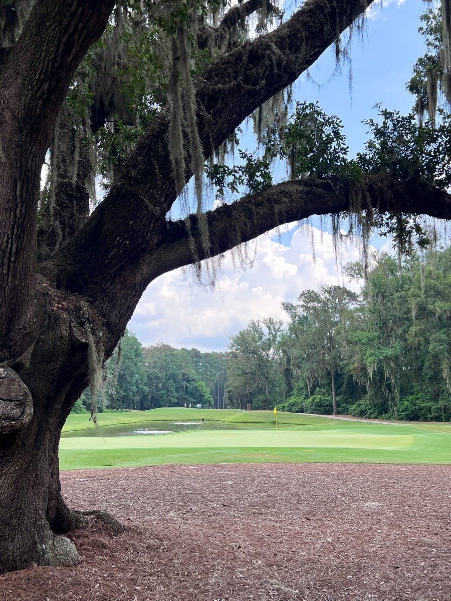 GS Men's Golf tweet media