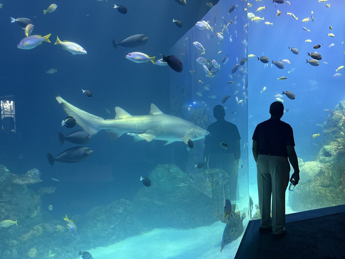 repcleaver's tweet photo. #TeamCleaver got a sneak peak tour of the new Sobela Ocean Aquarium at @KansasCityZoo.
Excited for Kansas Citians and guests who visit our city to experience this world-class aquarium! https://t.co/IMnJ5ZpZtr