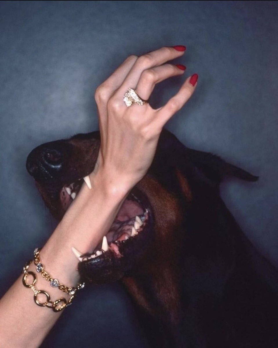 VisualNostalgia's tweet photo. “Fetching is your Dior” Campaign (1976)                                                  ph: Chris Von Wangenheim https://t.co/aLqKC2rBt2
