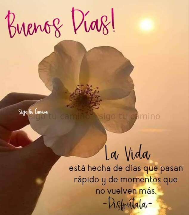 Así es!❤️