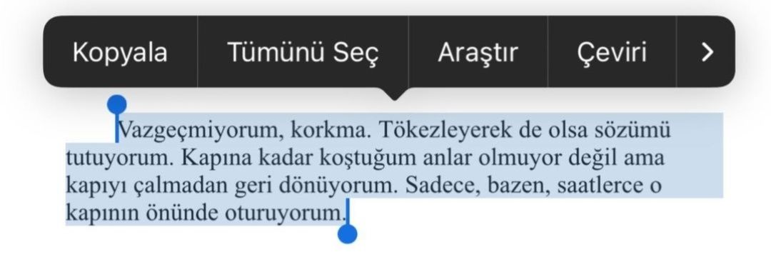 Mehmet Altınok (@altinok1i) on Twitter photo 