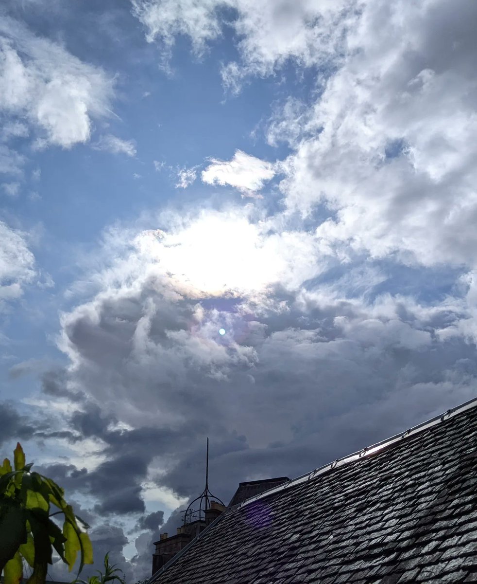 Enjoying a rare blast of sunshine ☀️ in the Gisbyland garden. But the next thunderstorm ⛈️ looming in from the Wet Wild West 🤠 is only minutes away.

#scottishweather #mygarden #Crieff