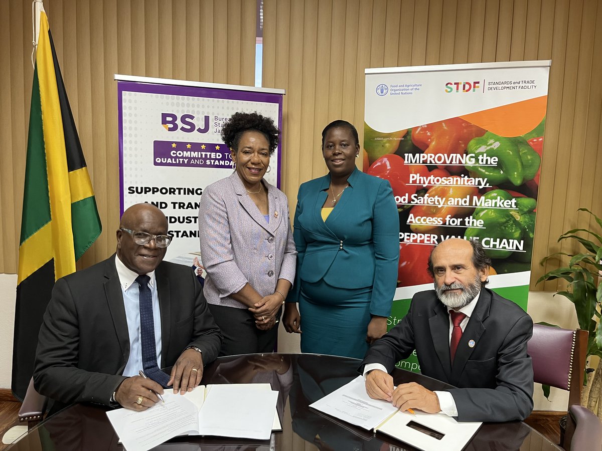 Sign &amp; sealed! 🤝FAO Rep. for Jamaica <a href="/Crispim_Moreira/">Crispim Moreira</a> &amp; Executive Director of <a href="/StandardsJa/">Bureau of Standards</a> Dr Velton Gooden ink the Letter of Agreement for the "Improving Phytosanitary, Food Safety &amp; Market Access Opportunities along the Hot Pepper Value Chain” project 🌶 📈

<a href="/StandardsJa/">Bureau of Standards</a>