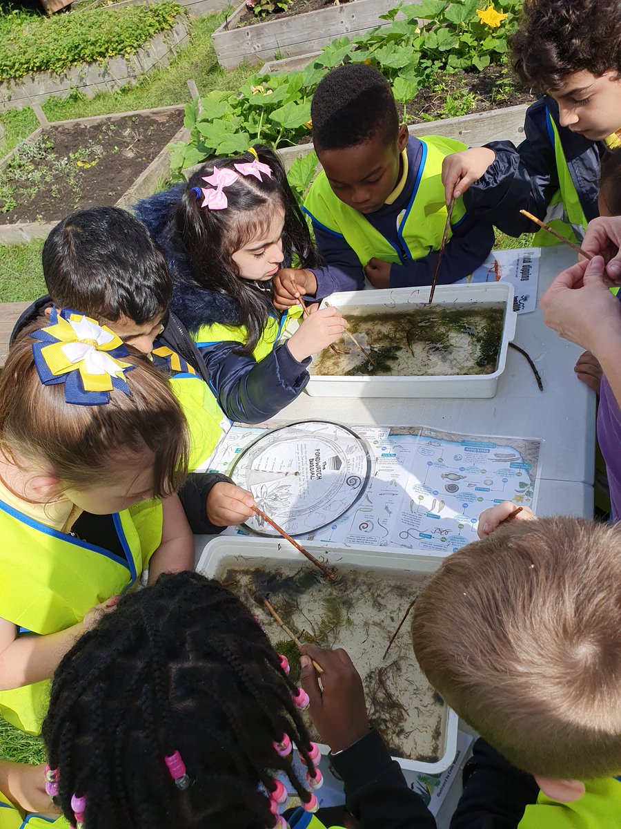 🌈 Elmvale Primary & Nursery 🐝 tweet media