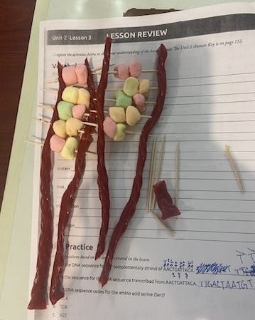 FletcherAdultEd's tweet photo. Who knew learning could be so sweet? Students had a blast diving into the world of genetics building colorful, edible DNA models &amp; unlocking the secrets of life's blueprint in a delicious way. Learning &amp; snacking – now that's a combo we can get behind! #myfletcher #workreadyu https://t.co/21Eo8U48TE