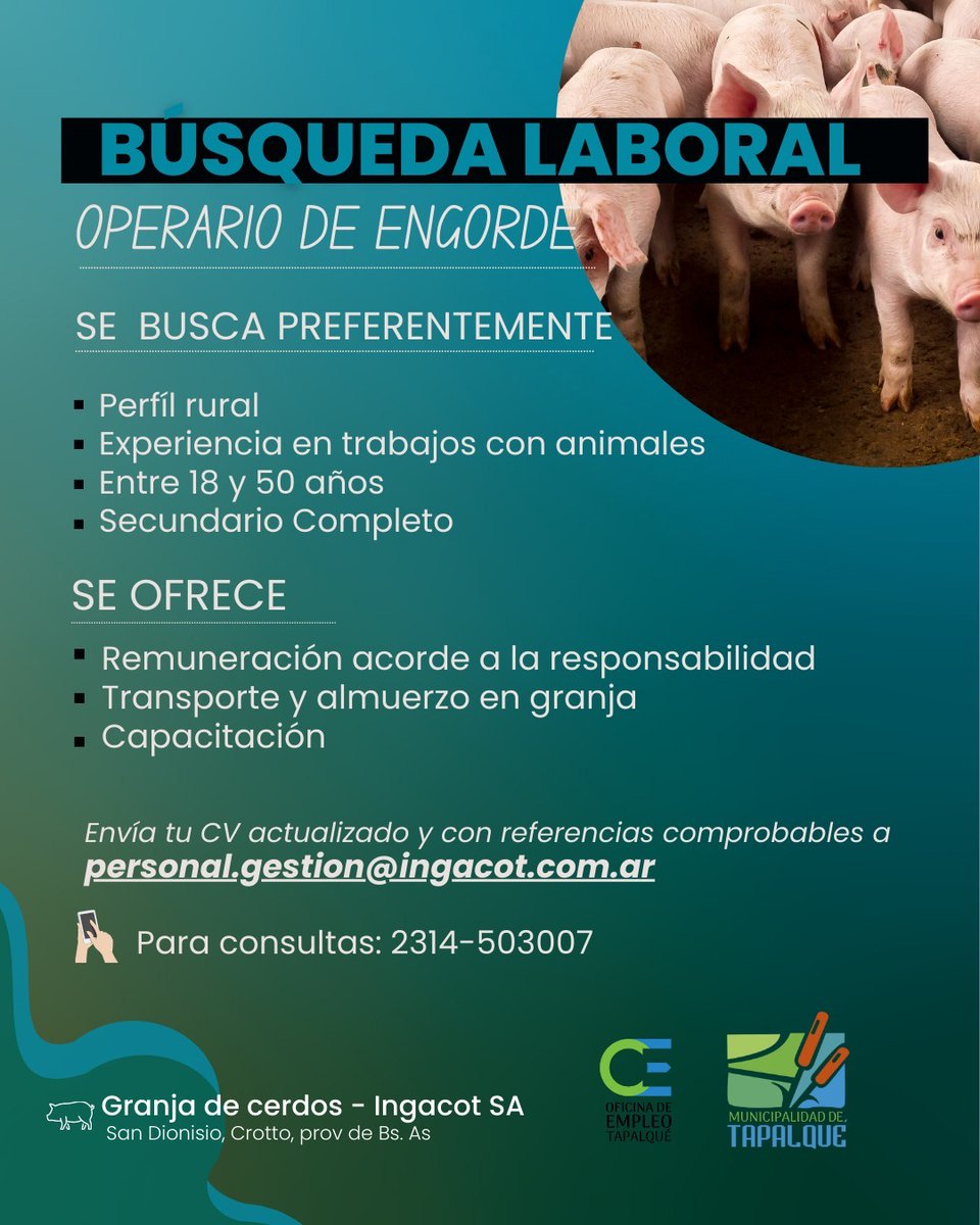 FMVIDA1035's tweet photo. ➡️ Propuesta laboral en Tapalqué

#FmVida #Tapalqué https://t.co/aQ47AMjqtc