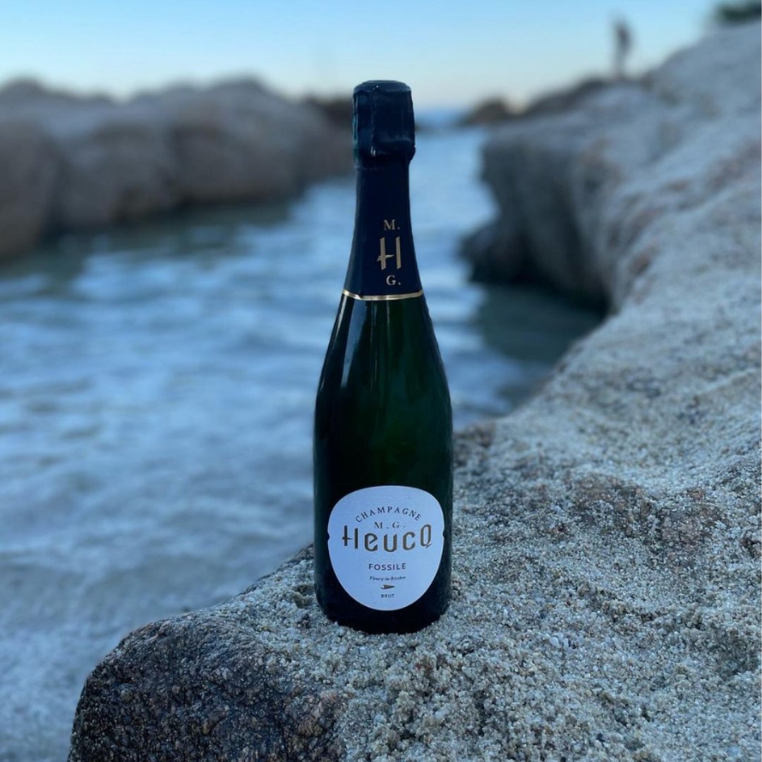 Lea & Sandeman tweet media