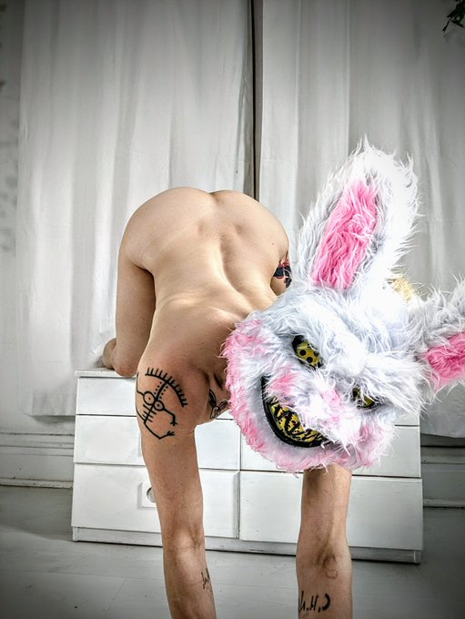 For the love of rabbits <3 (wink wink) https://t.co/2NRKrSECA5