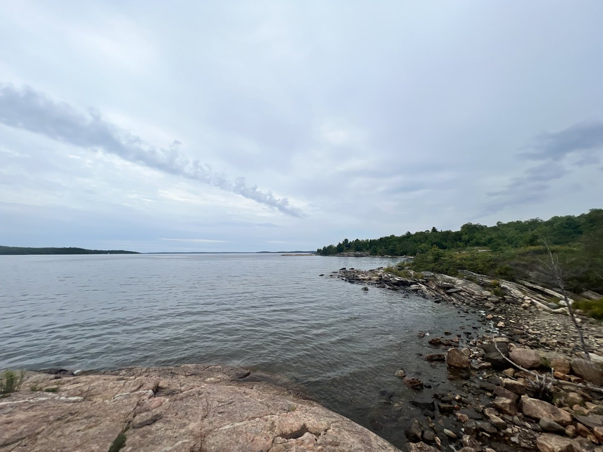 Wang Dou 王斗 tweet media