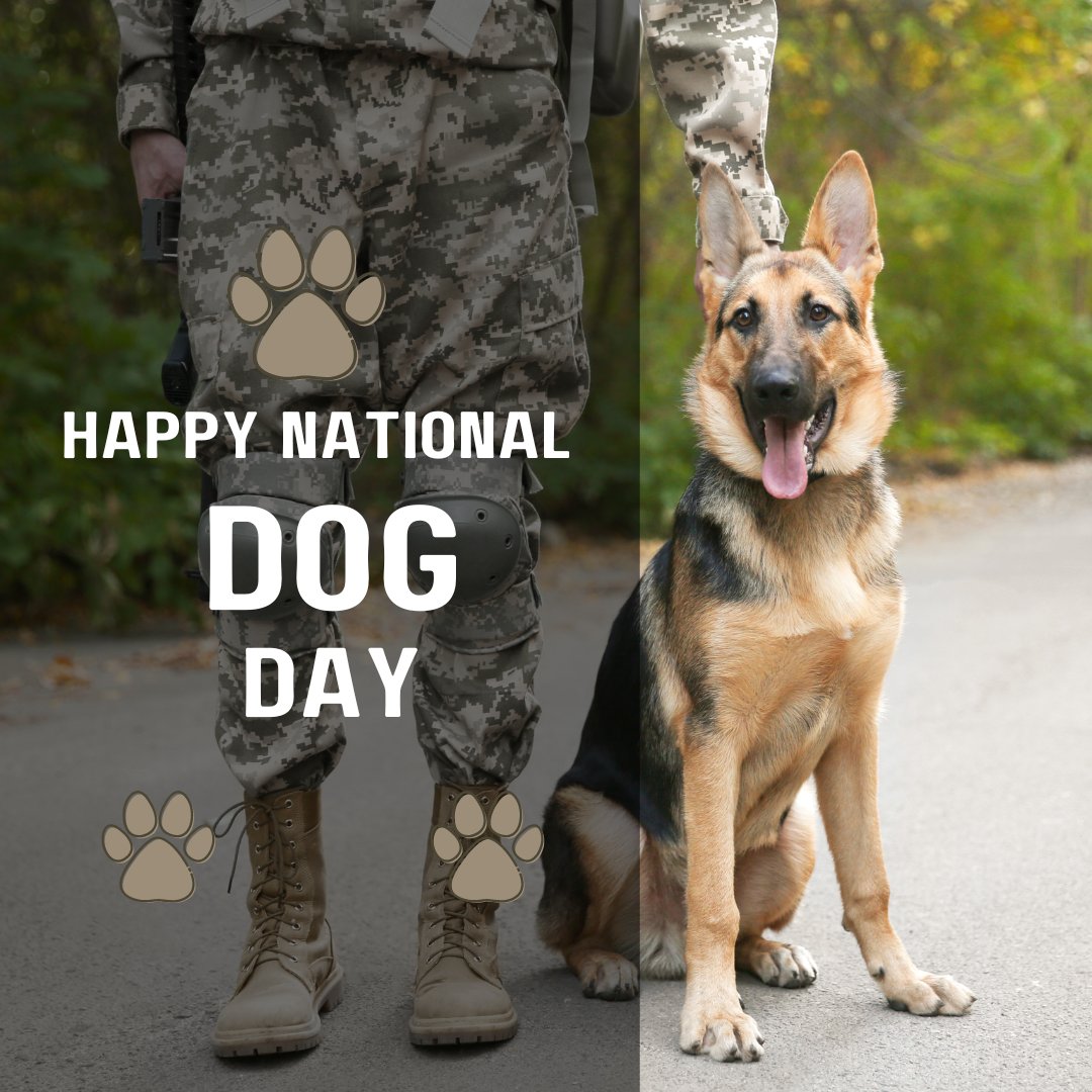 National Dog Day! #ClearPathLending #ClearPath #Lending #Mortgage #Refinance #HomeLoan #VALoan #dog #puppy #militarydog