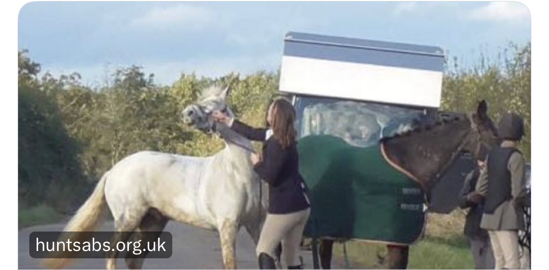 dominic dyer tweet media